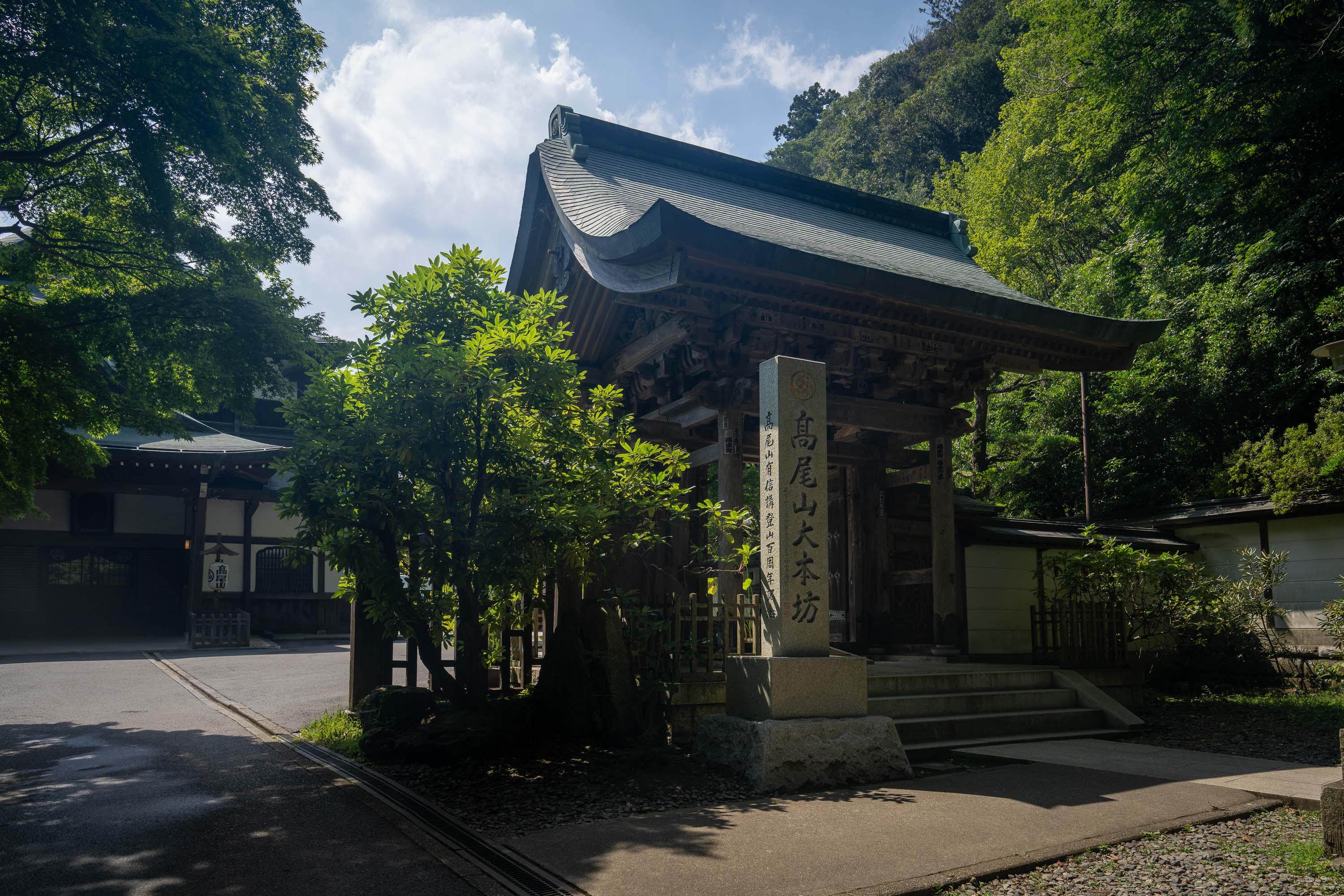 7CR08674_ILCE-7CR_Japan_Summer